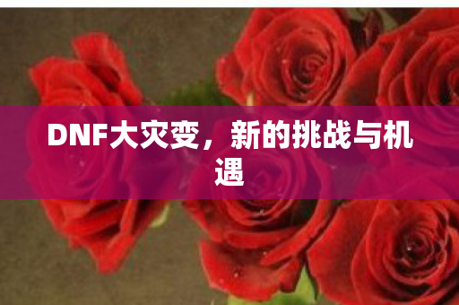 DNF大灾变，新的挑战与机遇