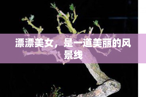 漂漂美女，是一道美丽的风景线