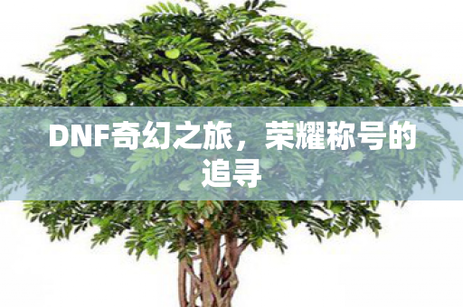 DNF奇幻之旅,荣耀称号的追寻 DNF奇幻之旅,荣耀称号的追寻