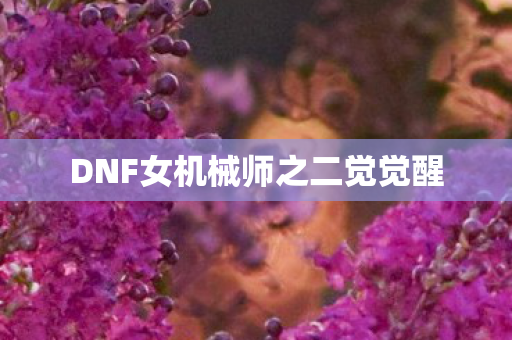 DNF女机械师之二觉觉醒