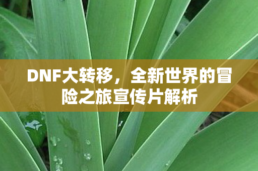 DNF大转移，全新世界的冒险之旅宣传片解析