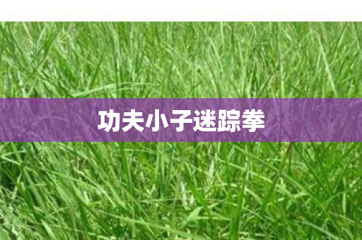 功夫小子迷踪拳