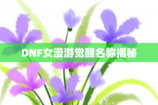 DNF女漫游觉醒名称揭秘 DNF女漫游觉醒名称揭秘