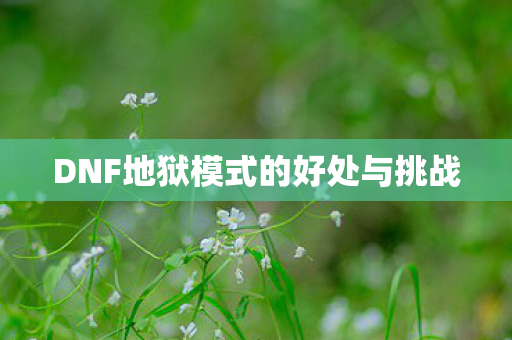 DNF地狱模式的好处与挑战