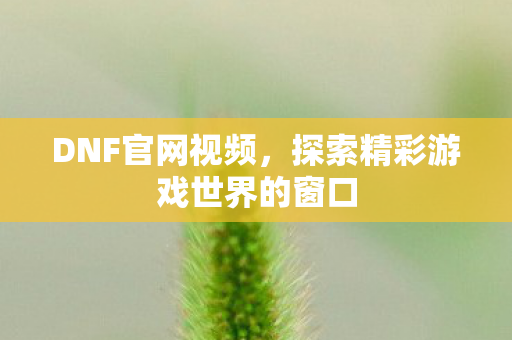 DNF官网视频，探索精彩游戏世界的窗口