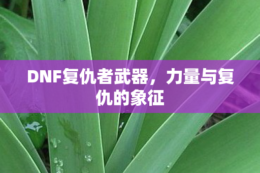 DNF复仇者武器，力量与复仇的象征