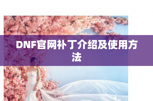 DNF官网补丁介绍及使用方法
