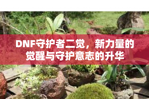 DNF守护者二觉,新力量的觉醒与守护意志的升华 DNF守护者二觉,新力量的觉醒与守护意志的升华