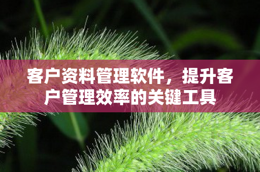 客户资料管理软件，提升客户管理效率的关键工具
