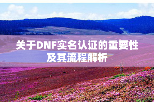 关于DNF实名认证的重要性及其流程解析