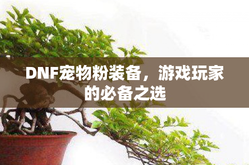 DNF宠物粉装备,游戏玩家的必备之选 DNF宠物粉装备,游戏玩家的必备之选