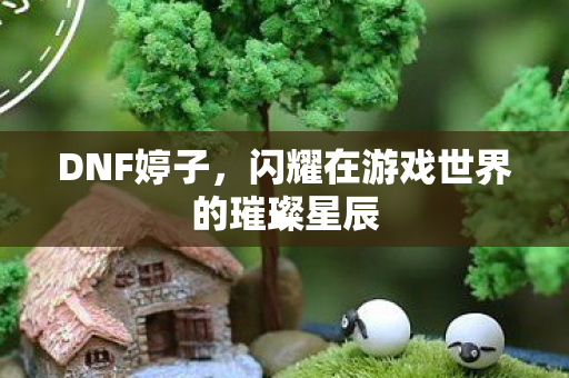 DNF婷子，闪耀在游戏世界的璀璨星辰