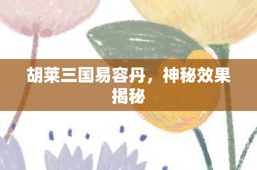 胡莱三国易容丹,神秘效果揭秘 胡莱三国易容丹,神秘效果揭秘