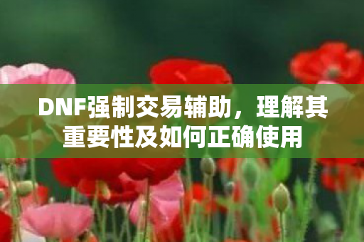 DNF强制交易辅助，理解其重要性及如何正确使用