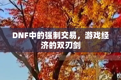 DNF中的强制交易,游戏经济的双刃剑 DNF中的强制交易,游戏经济的双刃剑