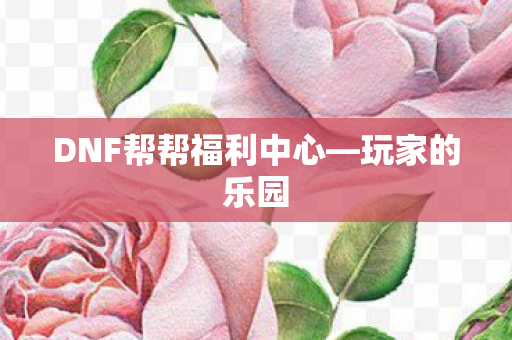 DNF帮帮福利中心—玩家的乐园