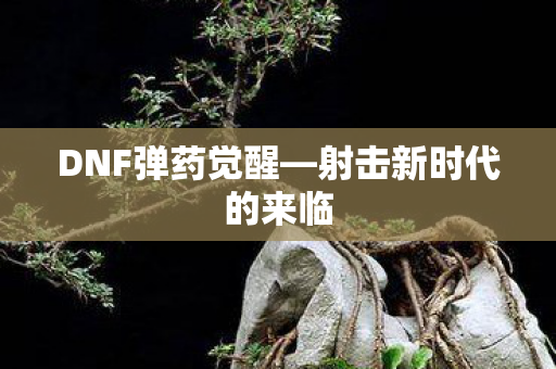 DNF弹药觉醒—射击新时代的来临 DNF弹药觉醒—射击新时代的来临
