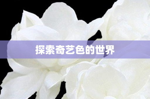 探索奇艺色的世界
