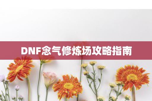 DNF念气修炼场攻略指南 DNF念气修炼场攻略指南