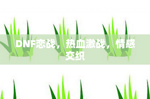 DNF恋战,热血激战,情感交织 DNF恋战,热血激战,情感交织