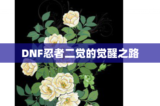 DNF忍者二觉的觉醒之路