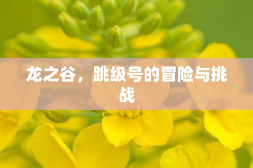 龙之谷，跳级号的冒险与挑战