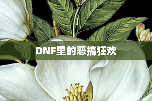 DNF里的恶搞狂欢