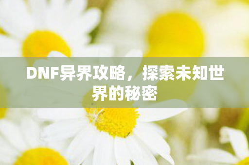 DNF异界攻略，探索未知世界的秘密
