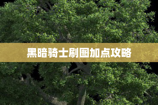 黑暗骑士刷图加点攻略