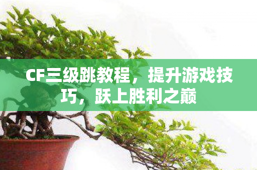 CF三级跳教程,提升游戏技巧,跃上胜利之巅 CF三级跳教程,提升游戏技巧,跃上胜利之巅