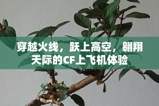 穿越火线，跃上高空，翱翔天际的CF上飞机体验