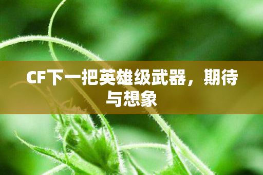 CF下一把英雄级武器，期待与想象