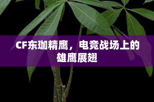 CF东珈精鹰，电竞战场上的雄鹰展翅