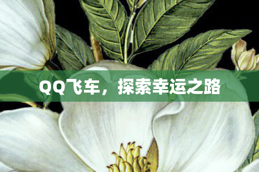 QQ飞车，探索幸运之路
