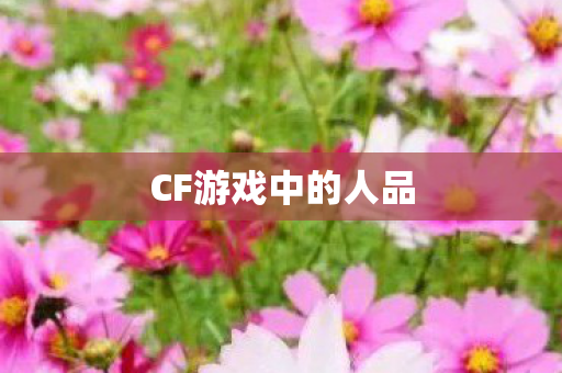 CF游戏中的人品 CF游戏中的人品