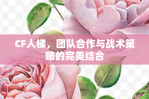 CF人梯,团队合作与战术策略的完美结合 CF人梯,团队合作与战术策略的完美结合