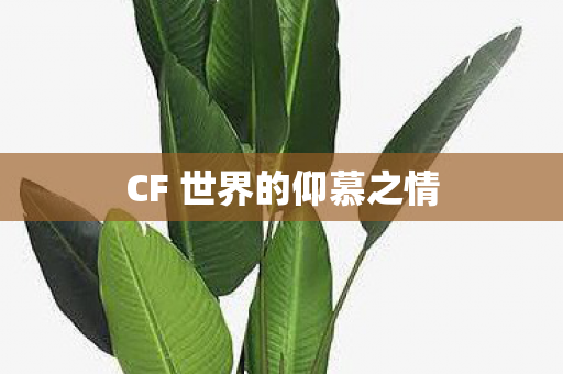 CF 世界的仰慕之情