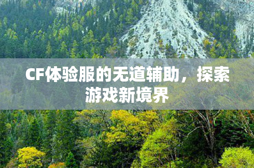 CF体验服的无道辅助，探索游戏新境界