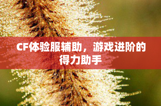 CF体验服辅助,游戏进阶的得力助手 CF体验服辅助,游戏进阶的得力助手