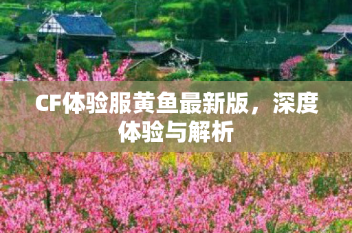 CF体验服黄鱼最新版，深度体验与解析