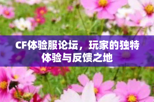 CF体验服论坛，玩家的独特体验与反馈之地