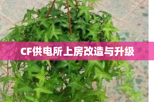 CF供电所上房改造与升级 CF供电所上房改造与升级