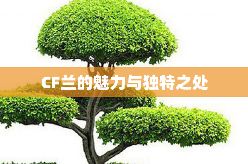 CF兰的魅力与独特之处