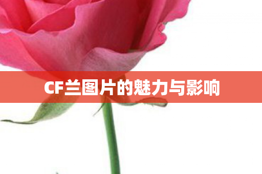 CF兰图片的魅力与影响