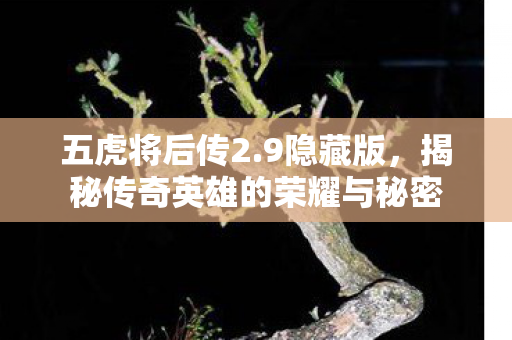 五虎将后传2.9隐藏版，揭秘传奇英雄的荣耀与秘密