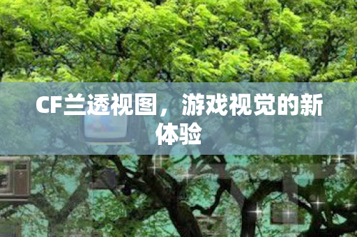CF兰透视图,游戏视觉的新体验 CF兰透视图,游戏视觉的新体验