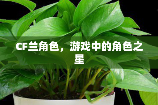 CF兰角色，游戏中的角色之星