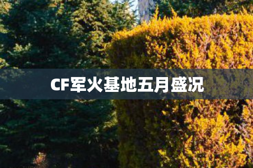 CF军火基地五月盛况 CF军火基地五月盛况