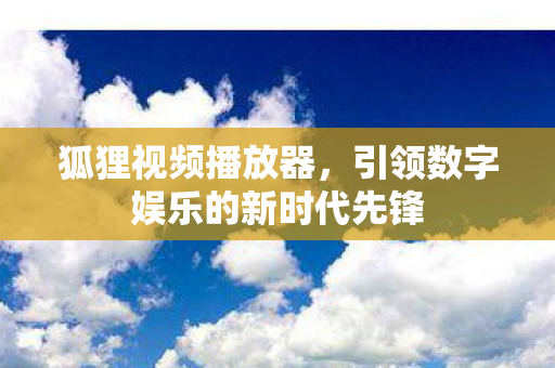 狐狸视频播放器，引领数字娱乐的新时代先锋