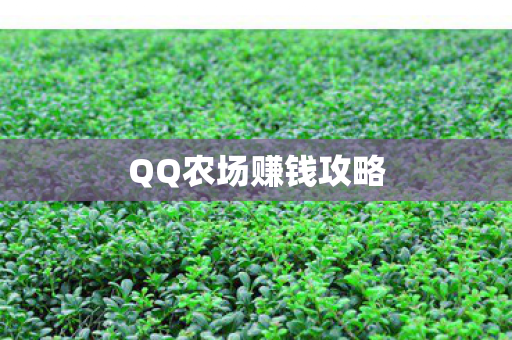 QQ农场赚钱攻略